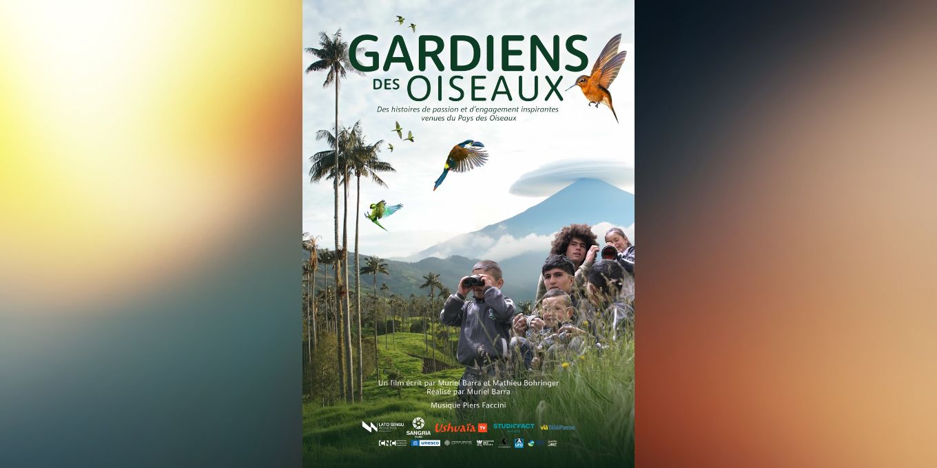 Film Gardiens des Oiseaux : la jeunesse colombienne au cœur d’un combat pour la biodiversité